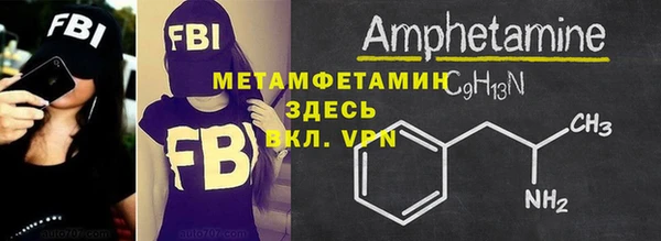 сатива Сатка