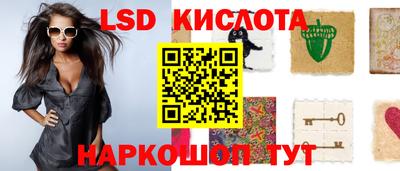 сатива Аргун
