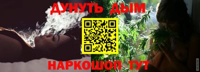 сатива Аргун