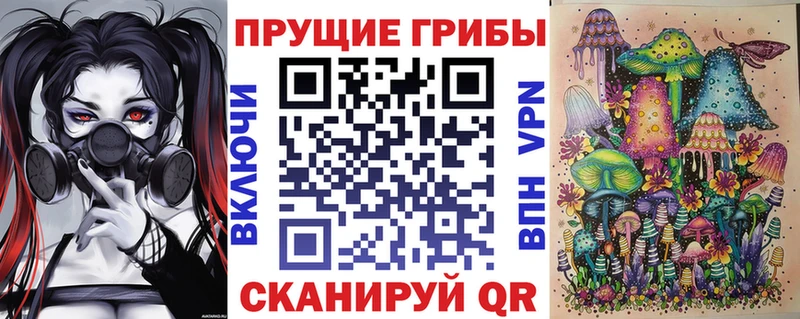 omg как зайти  Баксан  Галлюциногенные грибы мицелий 