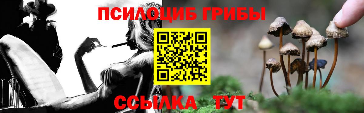 Псилоцибиновые грибы Cubensis Баксан