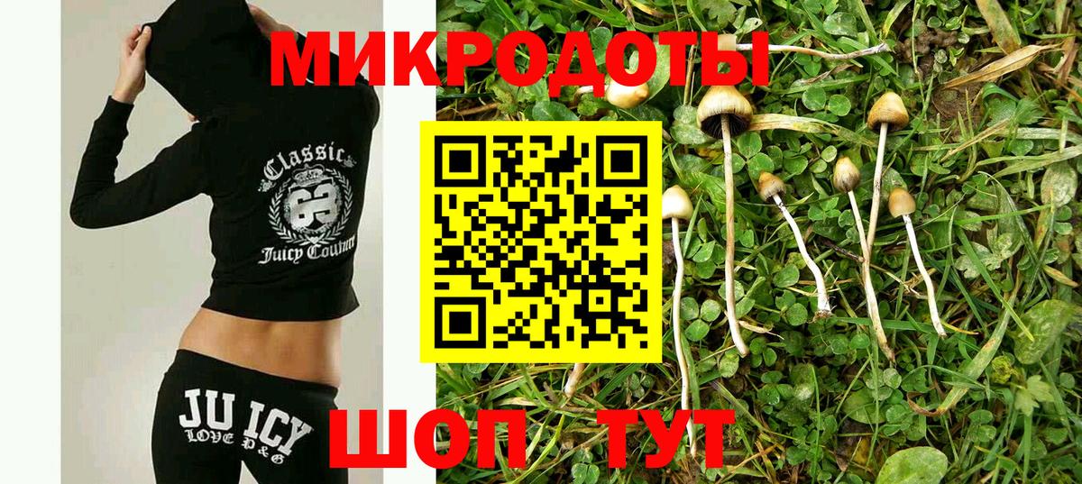 купить наркотик  Вход с VPN  Баксан  Псилоцибиновые грибы Cubensis  Псилоцибиновые грибы Cubensis 