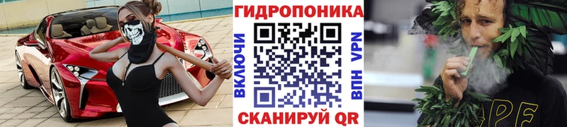 Бошки марихуана THC 21%  купить наркоту  Баксан 